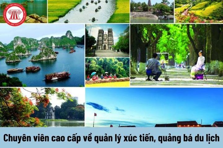 Xu hướng Soi 2 app du lịch đang hot: Hotspot Matrix tiết lộ bí quyết video viral