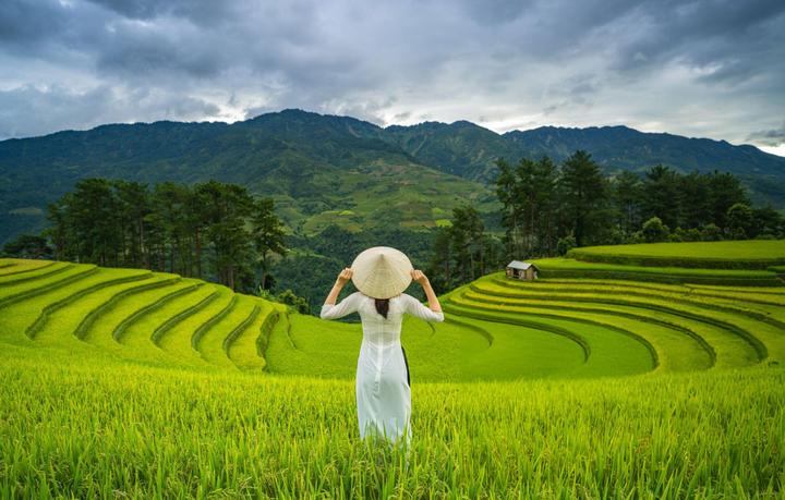 Xu hướng HOT: Trấn Thành chính thức: Hotspot Matrix tiết lộ bí quyết video viral