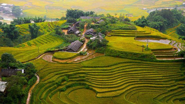 Sốc nặng với