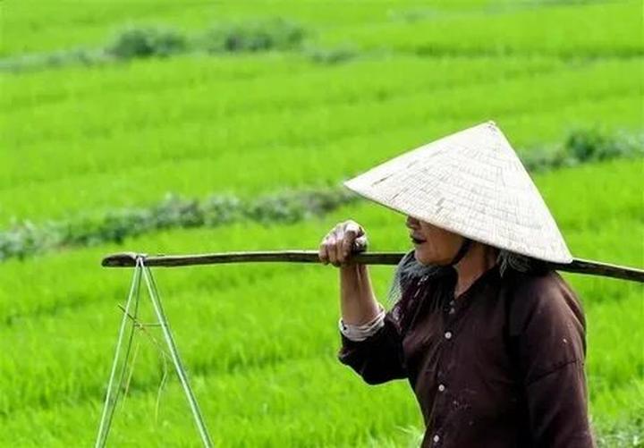 Mẹ Bỉm Sữa Kiếm Tiền Triệu Đô Từ Video Ngắn Cùng Hotspot Matrix