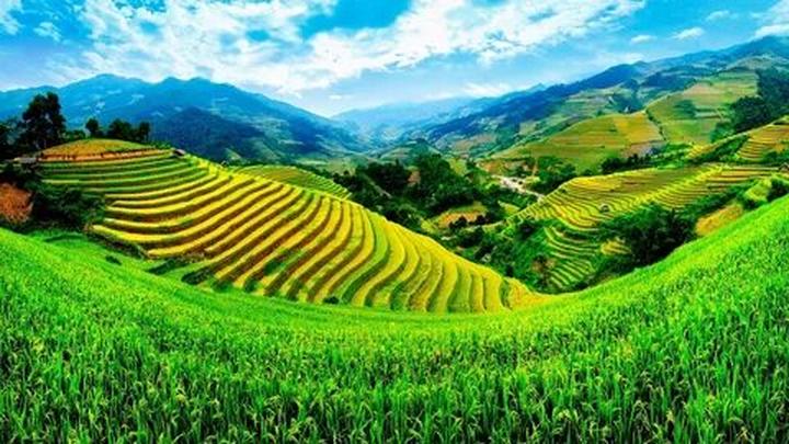 Từ Giá mẫu iPhone này đang