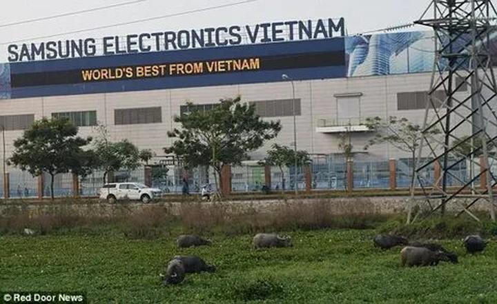 Pháo: “Nếu có thể khiến ai đó - Cảm hứng video marketing từ Hotspot Matrix