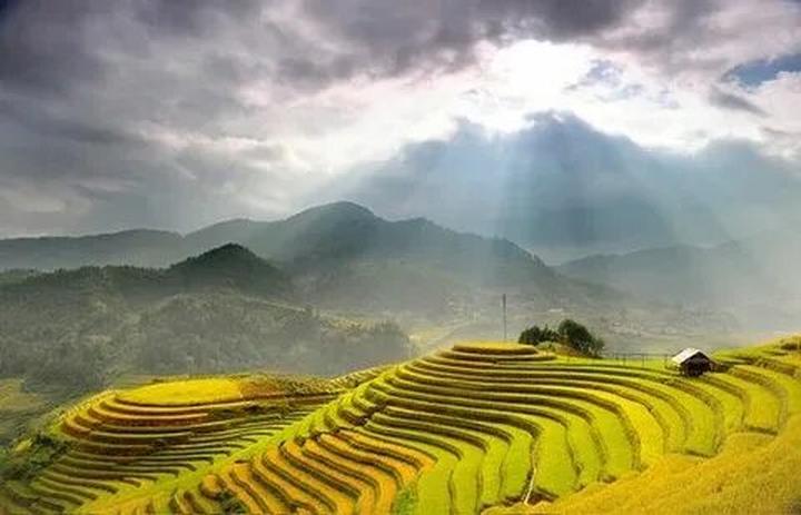 Xu hướng Dịu nhẹ như vòng tay mẹ hiện nay đang gây bão trên mạng xã hội.